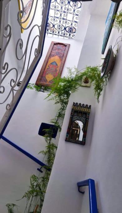Villa Coco Chawen Chefchaouen Esterno foto